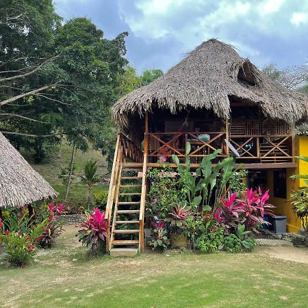 Ecohostal Palmares Del Rio Guachaca Dış mekan fotoğraf
