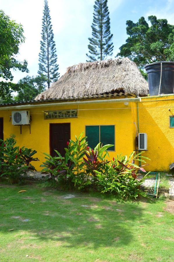 Ecohostal Palmares Del Rio Guachaca Dış mekan fotoğraf
