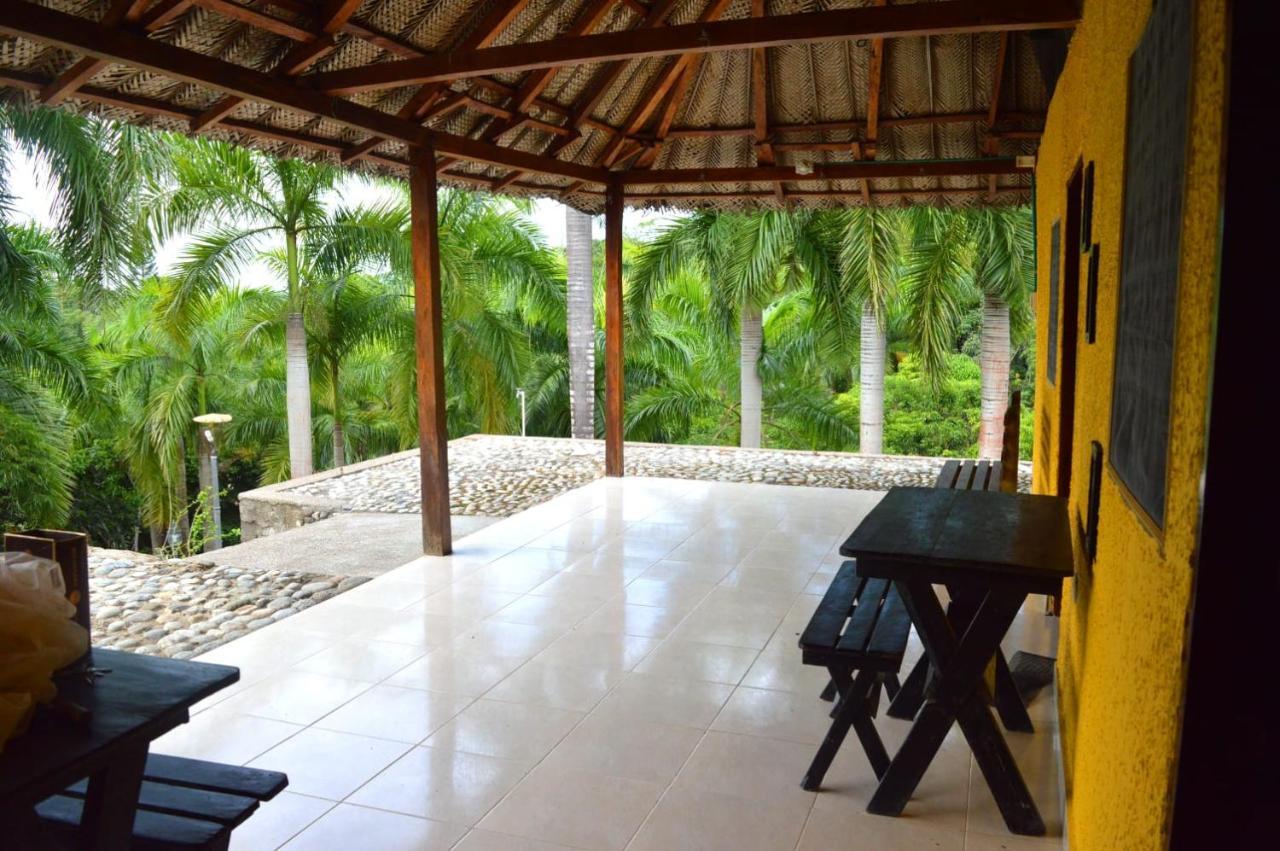 Ecohostal Palmares Del Rio Guachaca Dış mekan fotoğraf