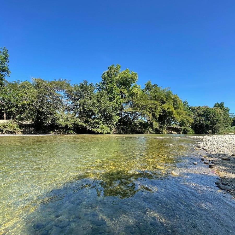 Ecohostal Palmares Del Rio Guachaca Dış mekan fotoğraf