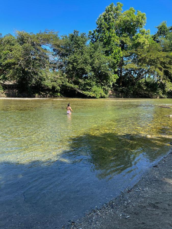 Ecohostal Palmares Del Rio Guachaca Dış mekan fotoğraf