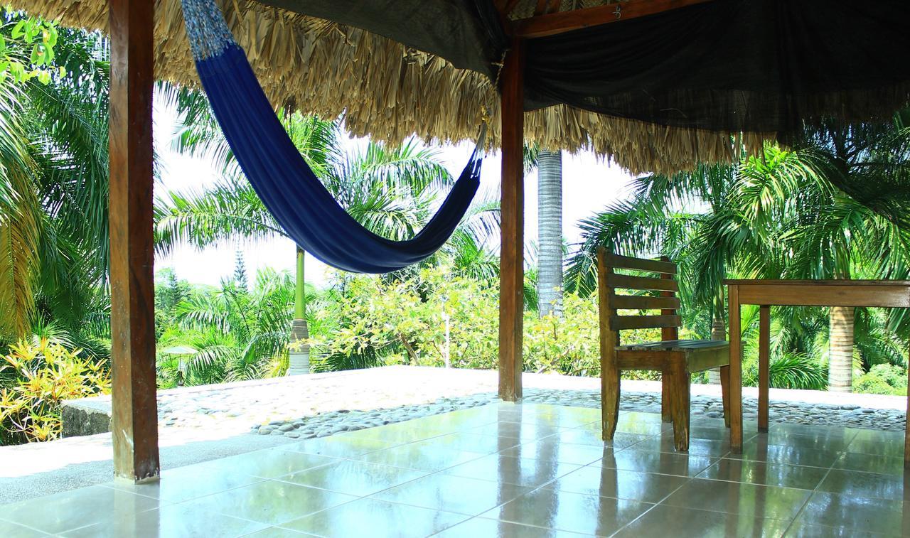 Ecohostal Palmares Del Rio Guachaca Dış mekan fotoğraf