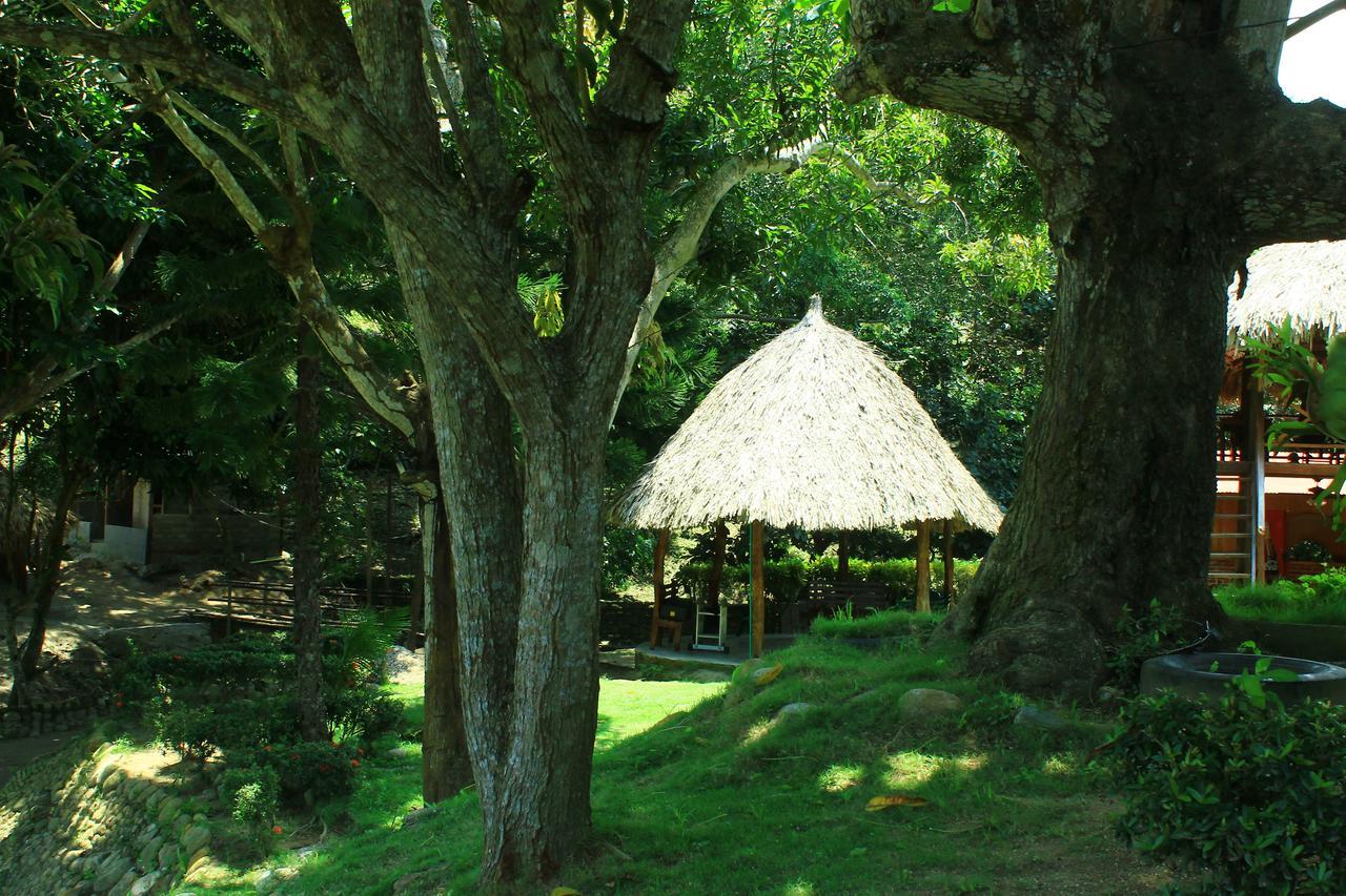 Ecohostal Palmares Del Rio Guachaca Dış mekan fotoğraf