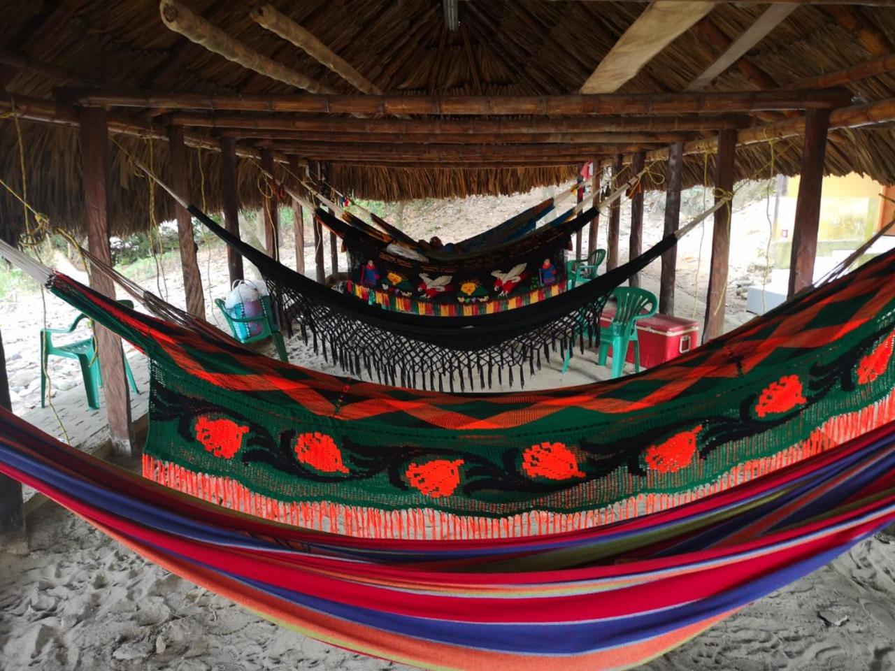 Ecohostal Palmares Del Rio Guachaca Dış mekan fotoğraf
